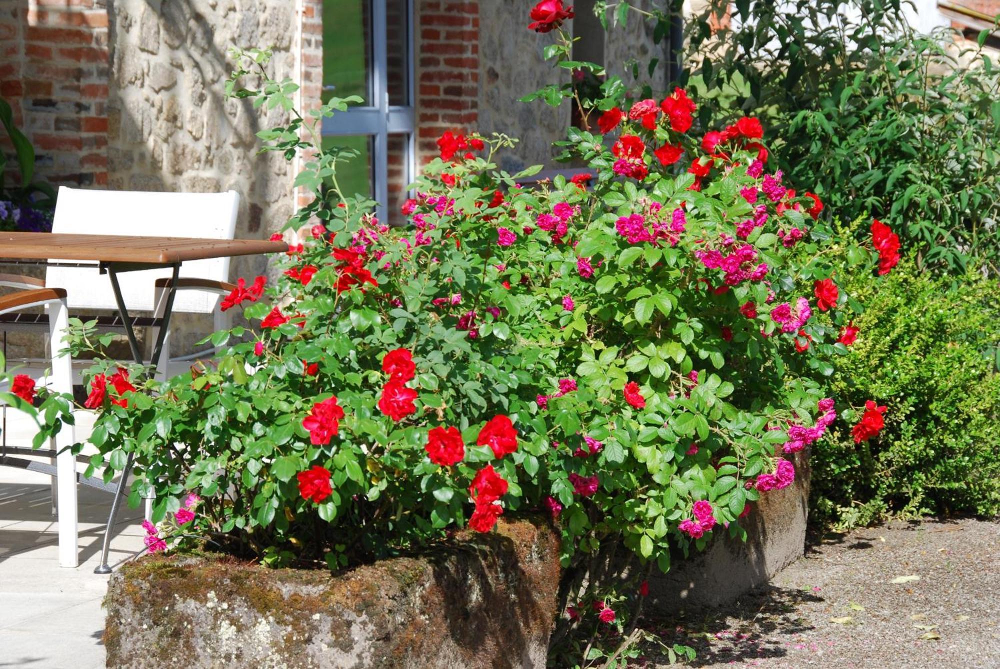 Les Maisons De Concasty Boisset  Rum bild